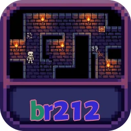 br212